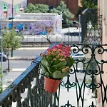 Sunny With Terrace.river View! Appartamento *